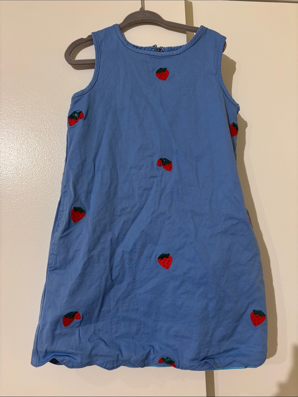 Classic Prep Blue Sleeveless Strawberry Dress